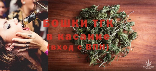 гидра Арсеньев