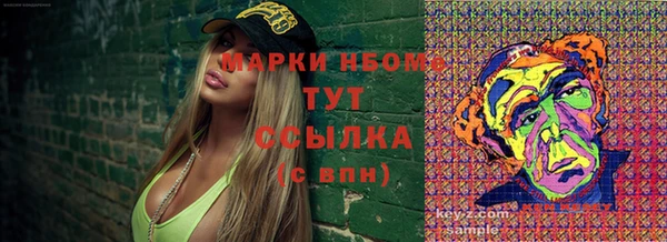 шишки Аркадак