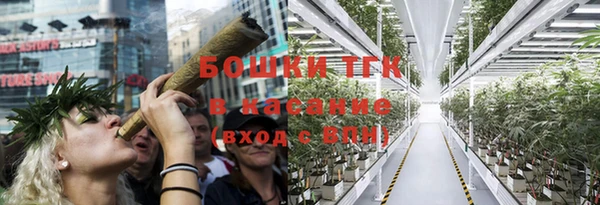 прущие грибы Армянск