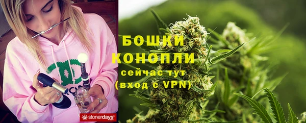 гидра Арсеньев