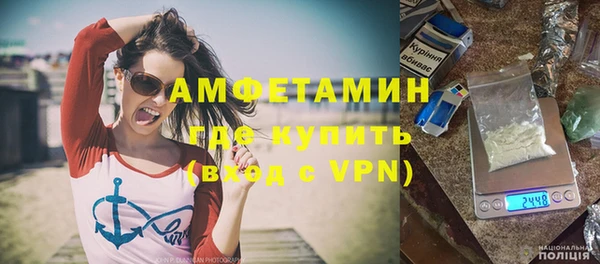 шишки Аркадак